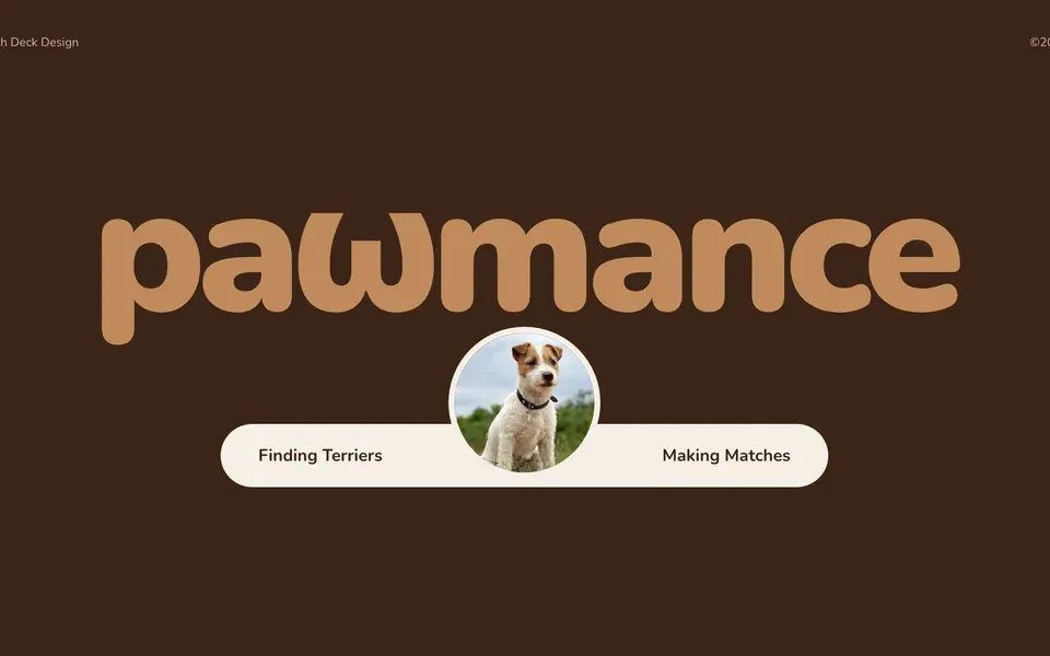 Pitch Deck in the Coat of the Dog: White, Tan and Chocolate Across Eleven Slides